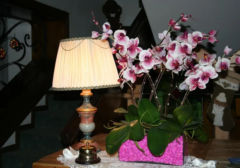 Hotel Margherita - Image 1