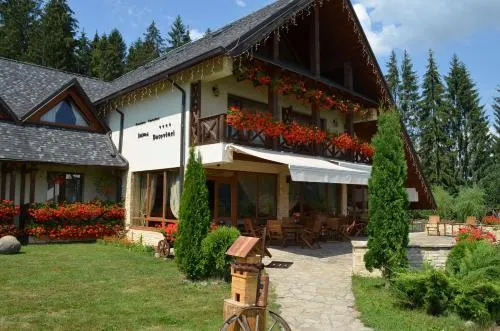 Pensiunea Inima Bucovinei - Image 1