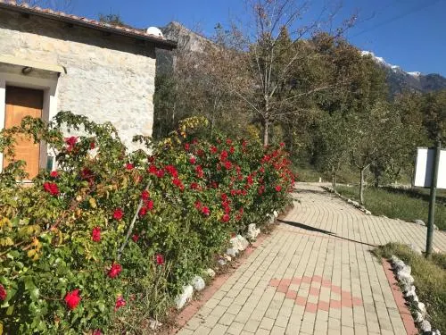 Gelsomino - Image 1