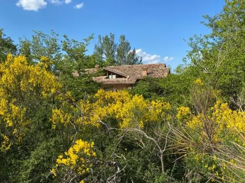 Luci Sui Monti - Image 1