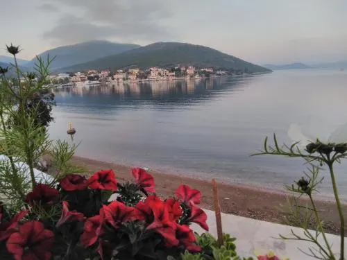MELI-IOS - Image 1
