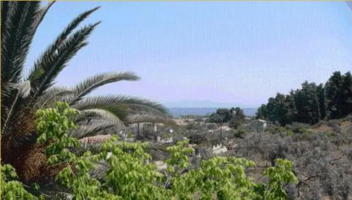 Orama - Image 1