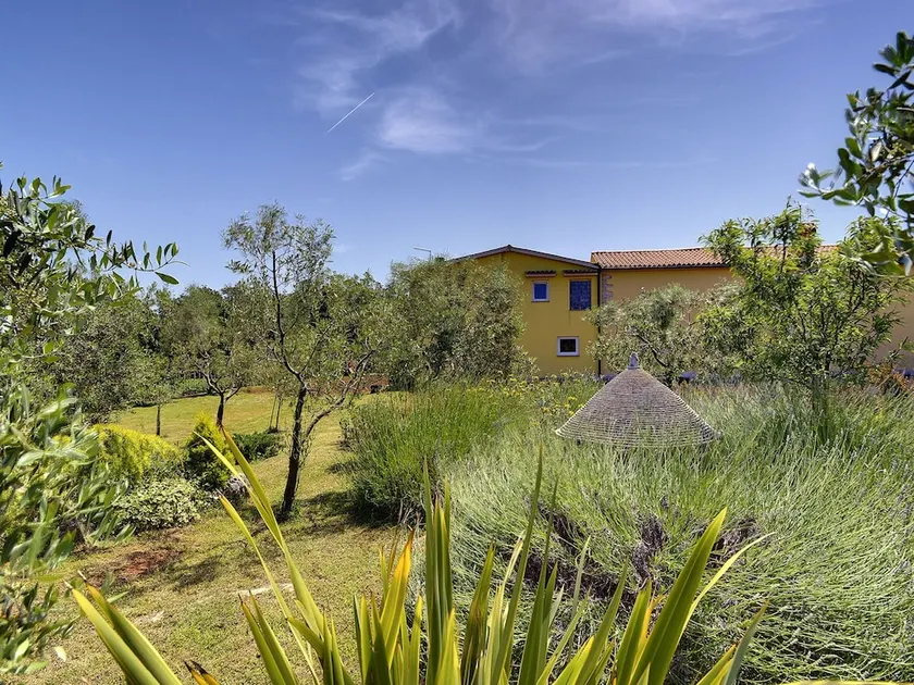 Apartment With Modern Decor and Spacious Garden, 3 km From the Beach - Image 1