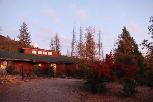 Sunny Pines Cottage - Image 1