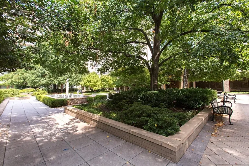 Upscale Apartments in Crystal City - Image 1