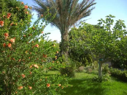 Casa Marlela - Image 1
