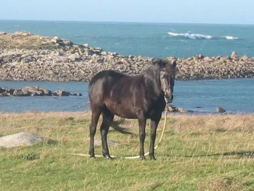 E goudor an amzer o tremen - Image 1