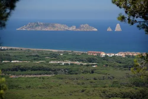 Mas Tomasi Dalt - Image 1