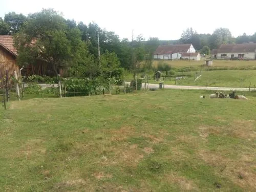 Szarvasszálló Vendégház - Image 1