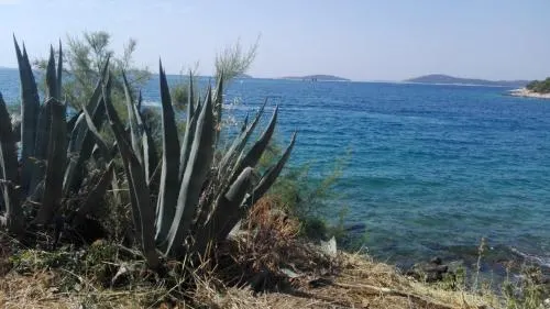 Home Baksaj - Image 1