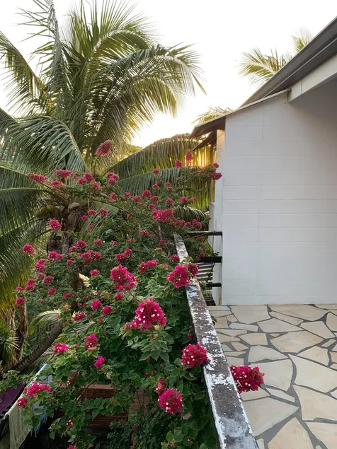 Mahina Apartment Elegantly Tropical - Image 1