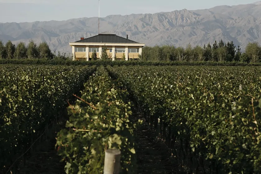 Estancia Mendoza Wine Hotel - Image 1