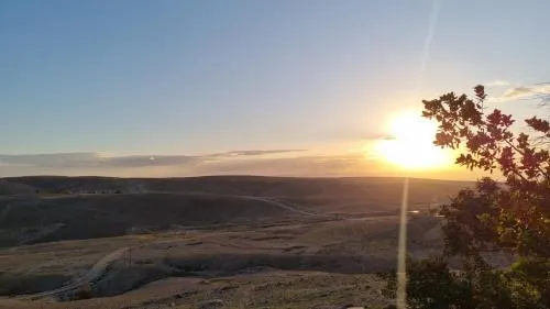Desert Call - Image 1