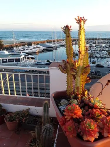 Mediterraneo - Image 1