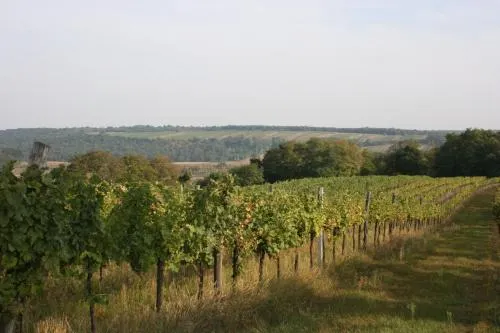 Gastezimmer Poys - Image 1