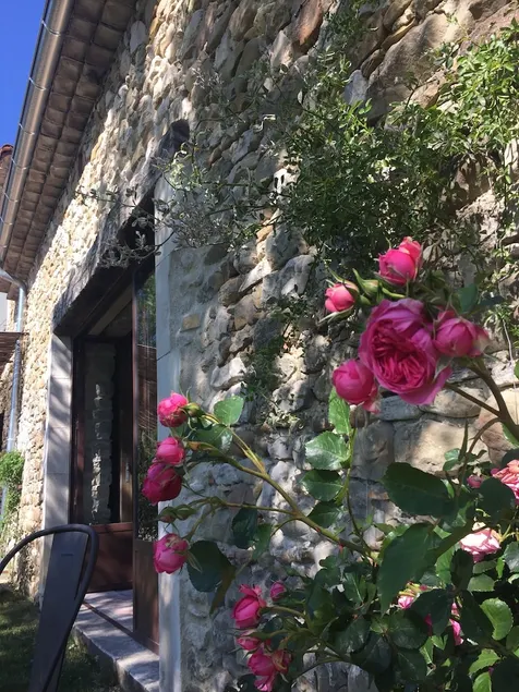 La Belle Etoile - Image 1