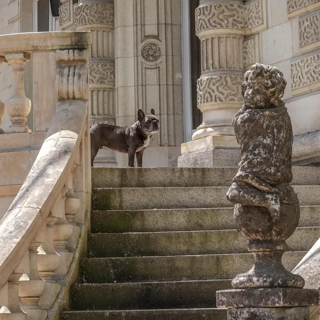 Chateau Bouvet Ladubay - Image 1