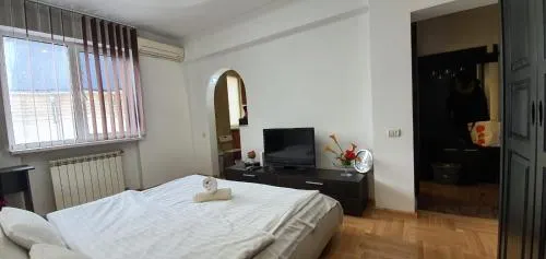 Grand Central Accomodation Doamnei2 - Image 1