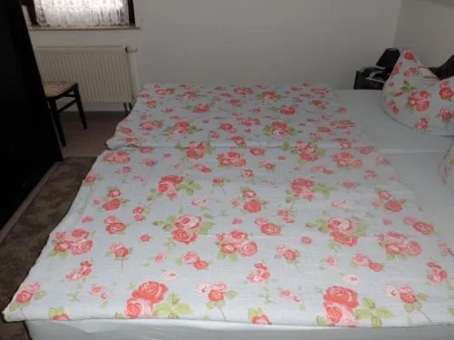 Ferienwohnung Lehmann, Carola - Image 1