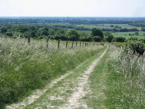 Chilgrove Farm B&B - Image 1