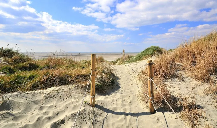Charming Beach Getaway Spacious 4BR Sunny Garden - Image 1