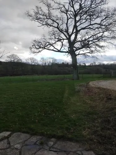 Coed Canol Farm - Image 1