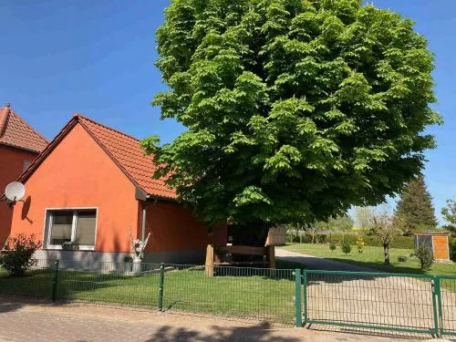 Müritzurlaub an der Kastanie in Sembzin - Image 1