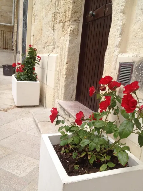Corte dei Mesagnesi Residenza - Image 1