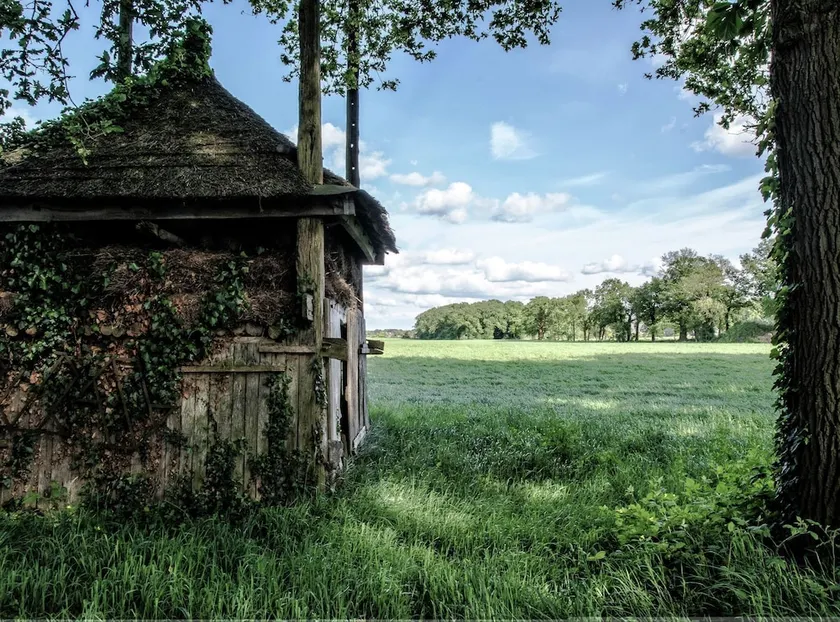 Staying in a Thatched Barn With box Bed, Beautiful View, Region Achterhoek - Image 1