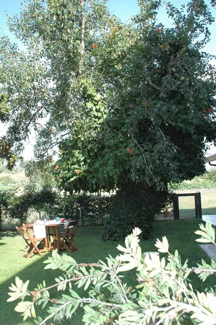 Bed & Breakfast Il Pero e l'Edera - Image 1
