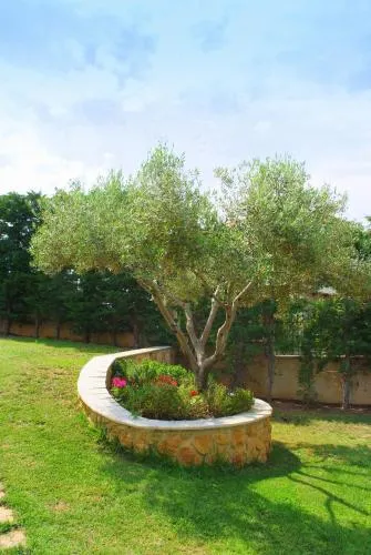 Sofia Luxury Maisonettes - Image 1