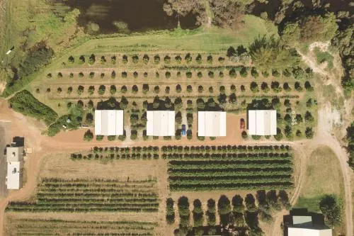 Swan Valley Sisters - Image 1