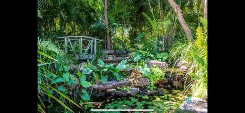 Stay on Magnetic Island - Nature at your door step - Image 1
