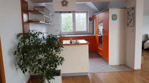Suzana Apartment - Image 1