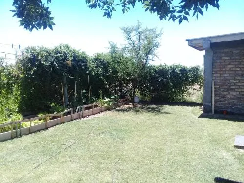La Casita En El Arbol - Image 1