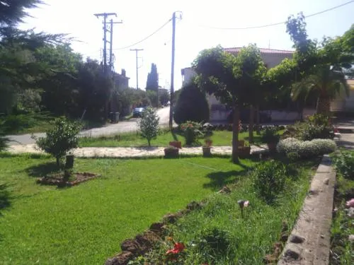 Hotel Kassandra - Image 1