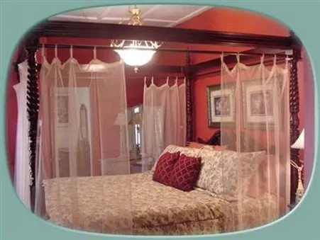Saragossa B&B - Saint Augustine - Image 1