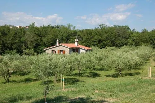 OlivaHouse - Image 1