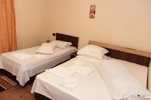 Pensiunea Guest House - Image 1