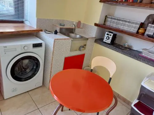 B&B Pinna Gialla - Image 1