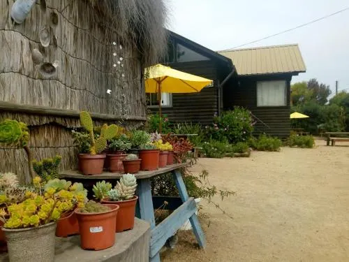 Las Delicias 534B - Image 1
