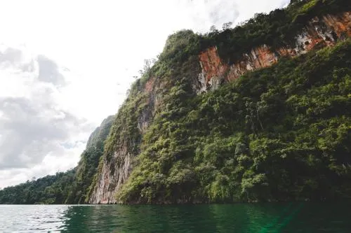 Khao Sok Hostel - Image 1