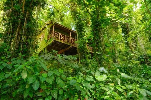 Kanopi House - Image 1