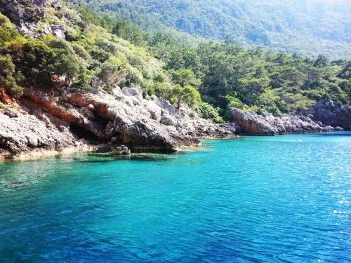 Olympos Deep Green Bungalows - Image 1