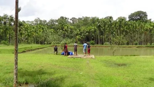 Pappys Nest Holiday Resort - Image 1