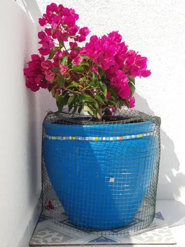 Apartment Begonville - Image 1
