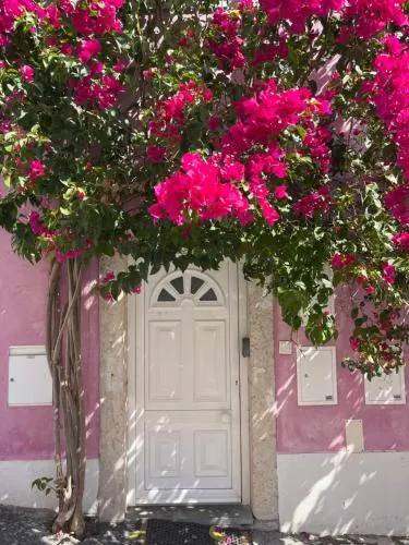 Casa Cor de Rosa - Image 1