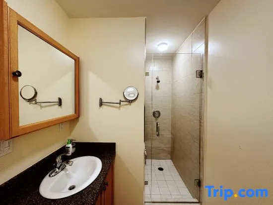 Super Cosy 8B6B in Vancouver heart near to airport - Image 1