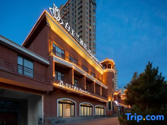 Magnotel (business) Hotel Fenghuang East Street Branch, Luya Mountain scenic spot, Ningwu, Xinzhou - Image 1