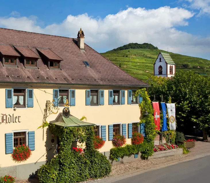 Schwarzer Adler - Image 1